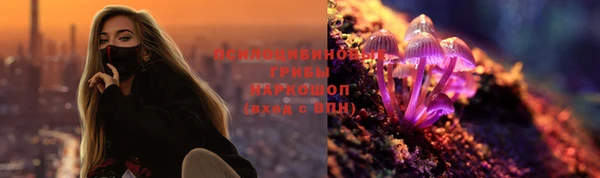 дмт Краснослободск