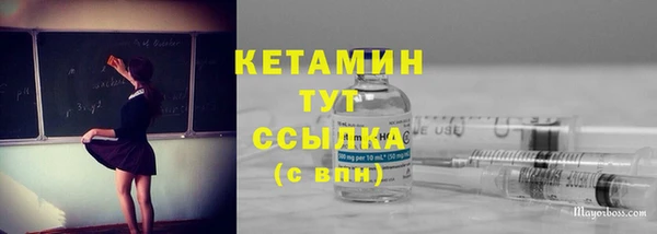 дмт Краснослободск
